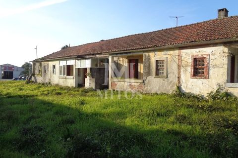 Terra a Areosa, Viana do Castelo, Areosa - € 750.000 | Ref: F951 - foto 9