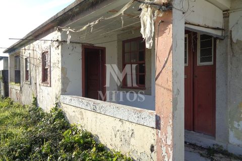 Terra a Areosa, Viana do Castelo, Areosa - € 750.000 | Ref: F951 - foto 10