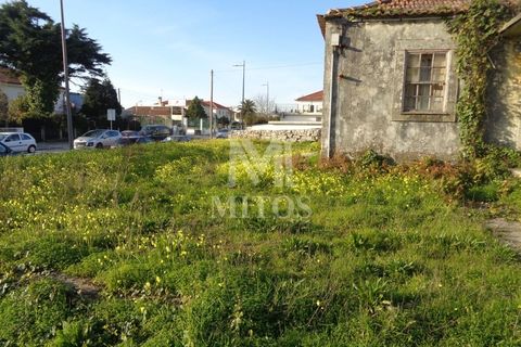 Terra a Areosa, Viana do Castelo, Areosa - € 750.000 | Ref: F951 - foto 11