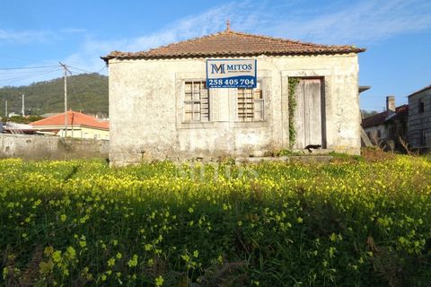 Terra a Areosa, Viana do Castelo, Areosa - € 750.000 | Ref: F951 - foto 12