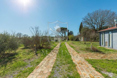 Villa i Lucignano, Arezzo, Lucignano - € 650.000 | Ref: 460 - foto 49