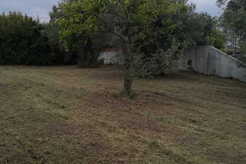 Terra a Treglio, Chieti, Treglio - € 49.000 | Ref: VT0363 - foto 3