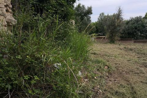 Terra a Treglio, Chieti, Treglio - € 49.000 | Ref: VT0363 - foto 4
