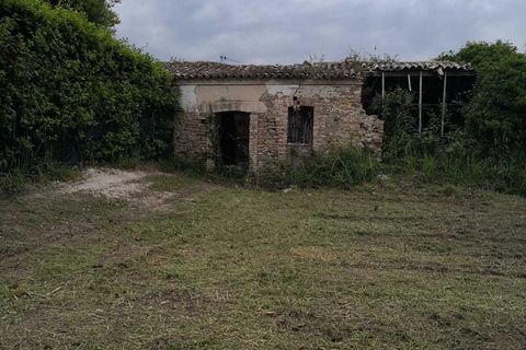 Terra a Treglio, Chieti, Treglio - € 49.000 | Ref: VT0363 - foto 5