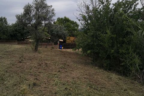 Terra a Treglio, Chieti, Treglio - € 49.000 | Ref: VT0363 - foto 7
