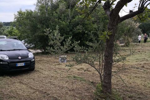 Terra a Treglio, Chieti, Treglio - € 49.000 | Ref: VT0363 - foto 8