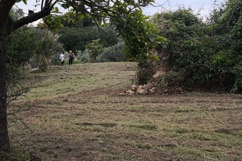 Terra a Treglio, Chieti, Treglio - € 49.000 | Ref: VT0363 - foto 10