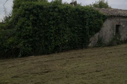 Terra a Treglio, Chieti, Treglio - € 49.000 | Ref: VT0363 - foto 15