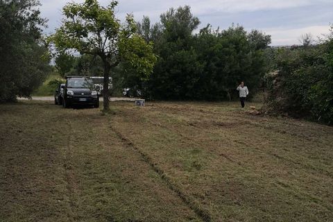 Terra a Treglio, Chieti, Treglio - € 49.000 | Ref: VT0363 - foto 17