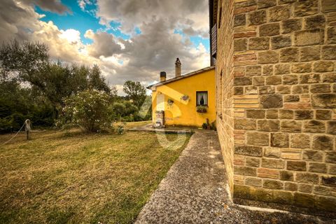 Villa i Monte Roberto, Ancona, Monte Roberto - € 339.000 | Ref: 3487 - foto 25