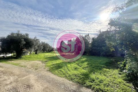 Helårsgrund i Mealhada, Aveiro, Mealhada - € 65.000 | Ref: 010801058 - foto 1