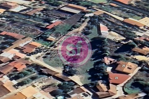 Helårsgrund i Mealhada, Aveiro, Mealhada - € 65.000 | Ref: 010801058 - foto 3