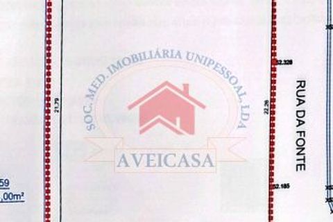 Helårsgrund i Vagos, Aveiro, Vagos - € 39.000 | Ref: 21135 - foto 2