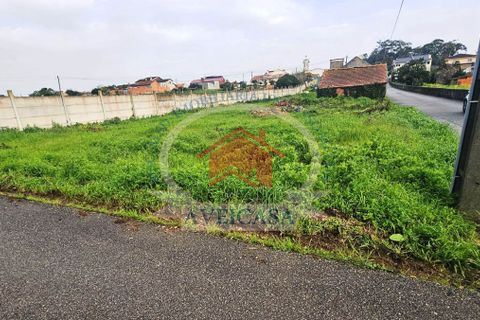 Helårsgrund i Vagos, Aveiro, Vagos - € 39.000 | Ref: 21135 - foto 3