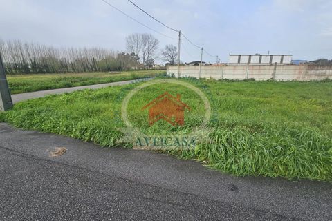 Helårsgrund i Vagos, Aveiro, Vagos - € 39.000 | Ref: 21135 - foto 4
