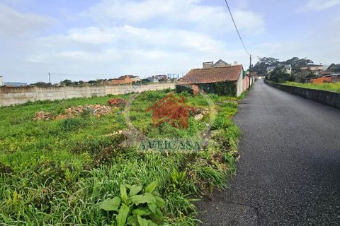 Helårsgrund i Vagos, Aveiro, Vagos - € 25.000 | Ref: 21136 - foto 3