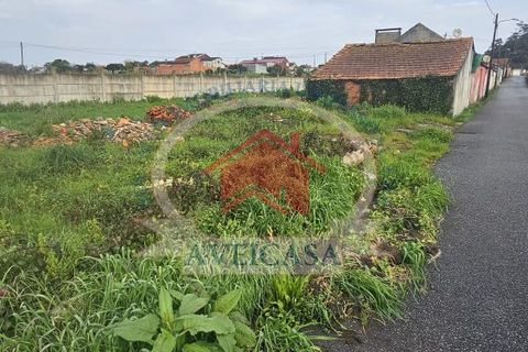Helårsgrund i Vagos, Aveiro, Vagos - € 25.000 | Ref: 21136 - foto 4