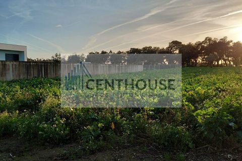 Helårsgrund i Cantanhede, Coimbra, Cantanhede - € 39.000 | Ref: C26004 - foto 2