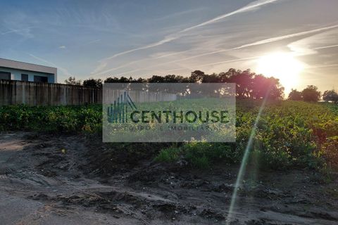 Helårsgrund i Cantanhede, Coimbra, Cantanhede - € 39.000 | Ref: C26004 - foto 3