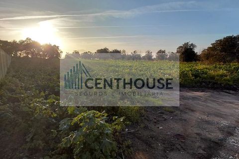 Helårsgrund i Cantanhede, Coimbra, Cantanhede - € 39.000 | Ref: C26004 - foto 5