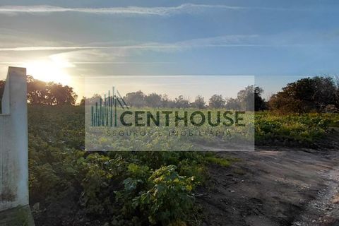 Helårsgrund i Cantanhede, Coimbra, Cantanhede - € 39.000 | Ref: C26004 - foto 6