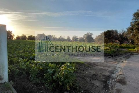 Helårsgrund i Cantanhede, Coimbra, Cantanhede - € 39.000 | Ref: C26004 - foto 7