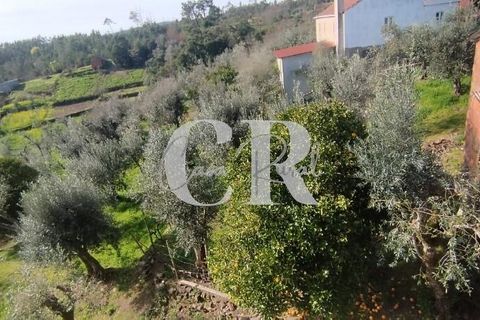 Byhus i Pedrogao Grande, Leiria, Pedrogao Grande - € 109.000 | Ref: CR0757 - foto 43