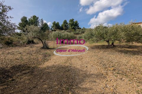 Terra a Peret, Herault, Peret - € 250.000 | Ref: 343082292 - foto 2