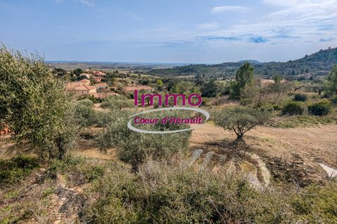 Terra a Peret, Herault, Peret - € 250.000 | Ref: 343082292 - foto 3
