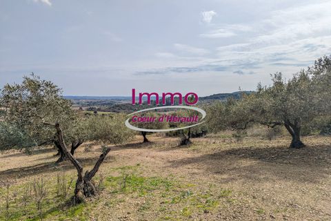 Terra a Peret, Herault, Peret - € 250.000 | Ref: 343082292 - foto 5