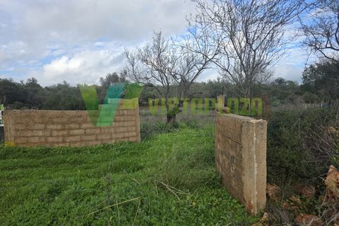 Helårsgrund i Paderne, Faro, Paderne - € 37.500 | Ref: LT-7237 - foto 1