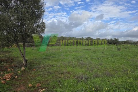Helårsgrund i Paderne, Faro, Paderne - € 37.500 | Ref: LT-7237 - foto 3