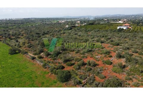 Helårsgrund i Paderne, Faro, Paderne - € 37.500 | Ref: LT-7237 - foto 6