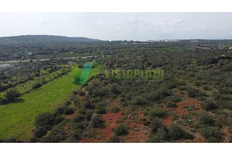 Helårsgrund i Paderne, Faro, Paderne - € 37.500 | Ref: LT-7237 - foto 5