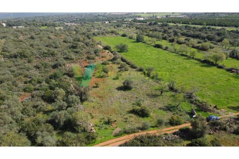 Helårsgrund i Paderne, Faro, Paderne - € 37.500 | Ref: LT-7237 - foto 9