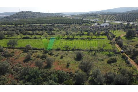 Helårsgrund i Paderne, Faro, Paderne - € 37.500 | Ref: LT-7237 - foto 15
