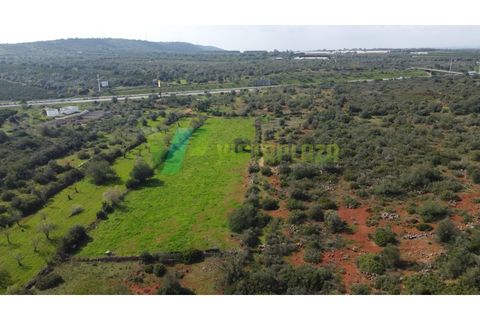 Helårsgrund i Paderne, Faro, Paderne - € 37.500 | Ref: LT-7237 - foto 16