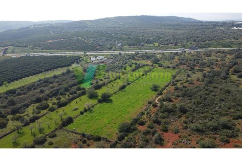 Helårsgrund i Paderne, Faro, Paderne - € 37.500 | Ref: LT-7237 - foto 17