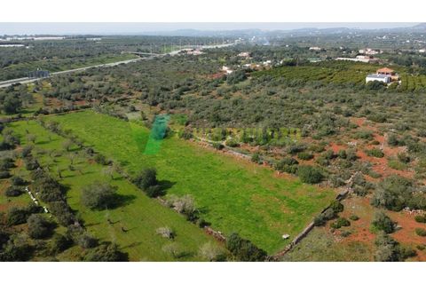 Helårsgrund i Paderne, Faro, Paderne - € 37.500 | Ref: LT-7237 - foto 18