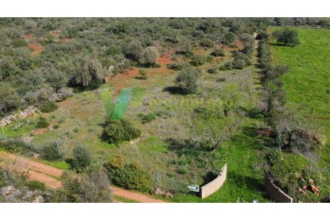 Helårsgrund i Paderne, Faro, Paderne - € 37.500 | Ref: LT-7237 - foto 19