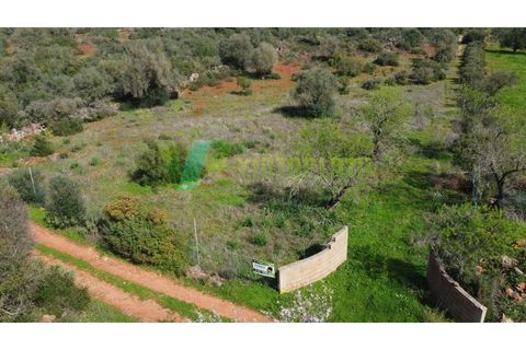 Helårsgrund i Paderne, Faro, Paderne - € 37.500 | Ref: LT-7237 - foto 20