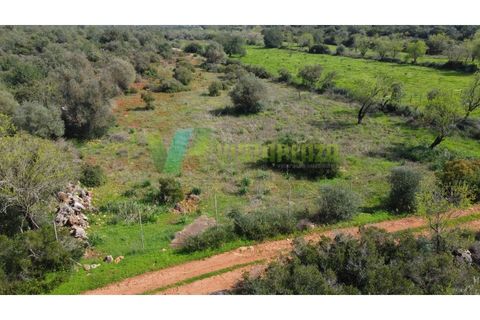 Helårsgrund i Paderne, Faro, Paderne - € 37.500 | Ref: LT-7237 - foto 21