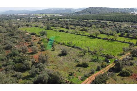 Helårsgrund i Paderne, Faro, Paderne - € 37.500 | Ref: LT-7237 - foto 23