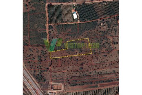 Helårsgrund i Paderne, Faro, Paderne - € 37.500 | Ref: LT-7237 - foto 24
