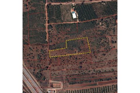 Helårsgrund i Paderne, Faro, Paderne - € 37.500 | Ref: LT-7237 - foto 25