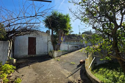 Villa a Vidais, Leiria, Vidais - € 379.000 | Ref: CAL-217057 - foto 30