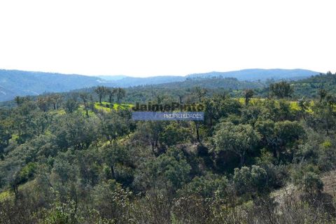 Terra a Almodovar, Beja, Almodovar - € 620.000 | Ref: 9970_T - foto 2