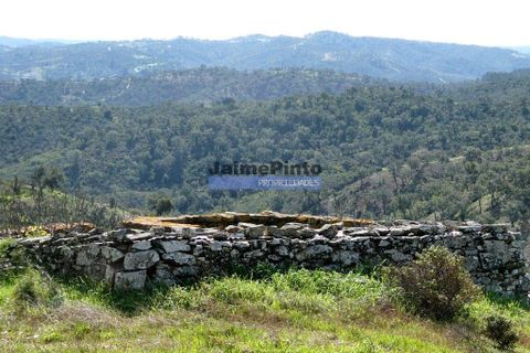 Terra a Almodovar, Beja, Almodovar - € 620.000 | Ref: 9970_T - foto 3