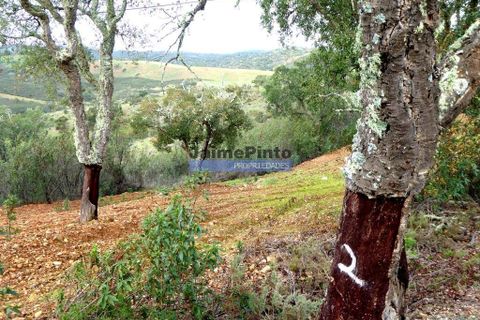 Terra a Almodovar, Beja, Almodovar - € 620.000 | Ref: 9970_T - foto 4