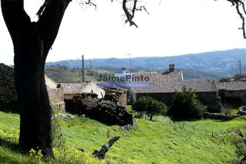 Terra a Almodovar, Beja, Almodovar - € 620.000 | Ref: 9970_T - foto 7